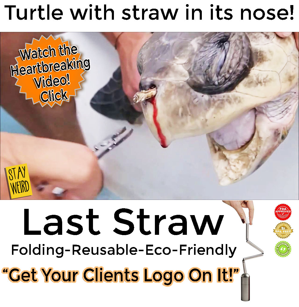 turtle with straw in its nose prompts folding reusable drinking straw