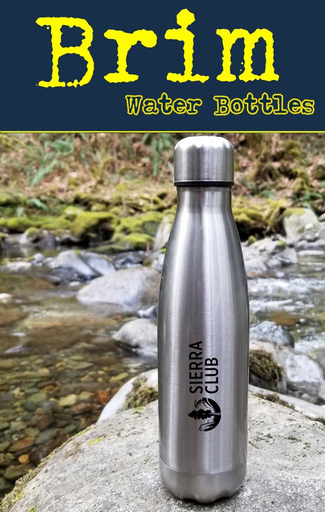 Swell vacuum style stainless steel drinking waterbottle.