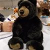 custom promotional stuffed animals black bear plush toy