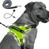 LED-light-dog-collar-and-harness-1