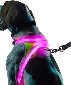 Light-up-dog-harness1