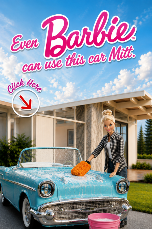 woman specific car wash mitt