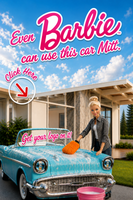 car was mitt